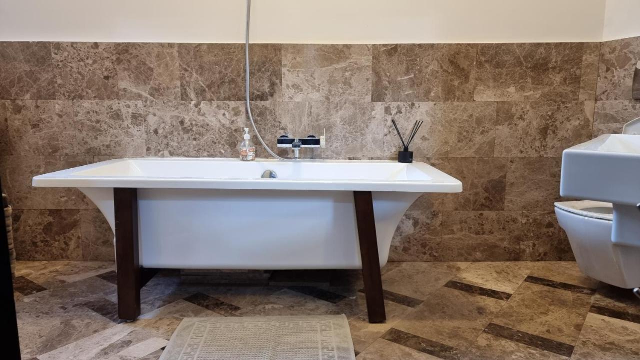 Neuhausz Suite - Ultracentral Temeşvar Dış mekan fotoğraf